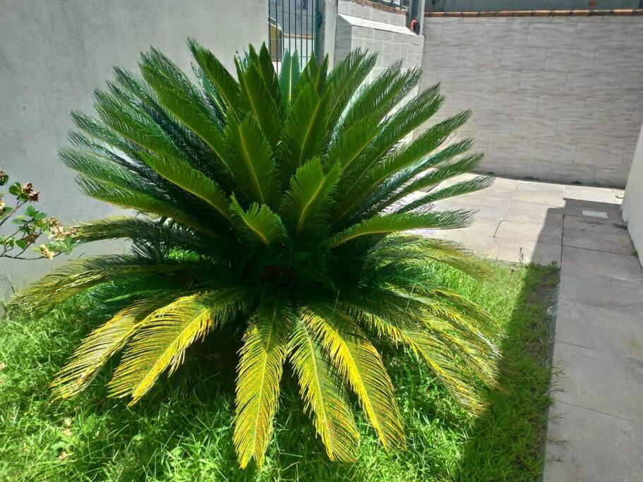 Casa Agradavel Em Camboriu Com Estacionamento No Patioヴィラ エクステリア 写真